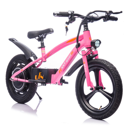 24V Kids Electric Dirt Bike, 300W Super Power Motor, 12.43 MPH Max Speed, 16" Pneumatic Tires, Adjustable Seat, Power Display, Powered Ride On Motorcycle for Boys Girls Ages 5-12 Years Old